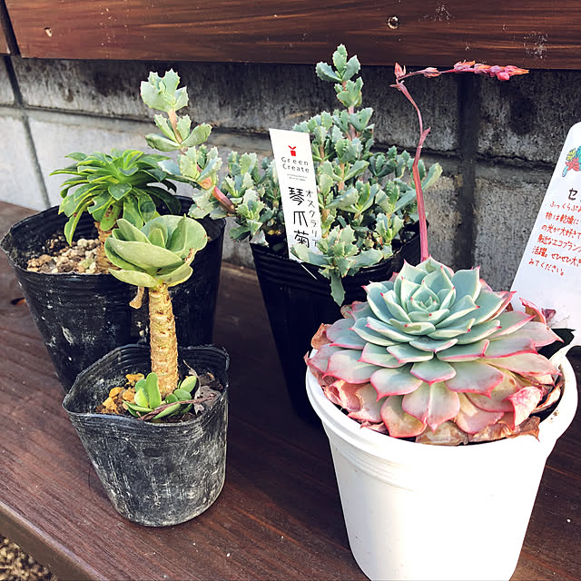 craneさんの実例写真