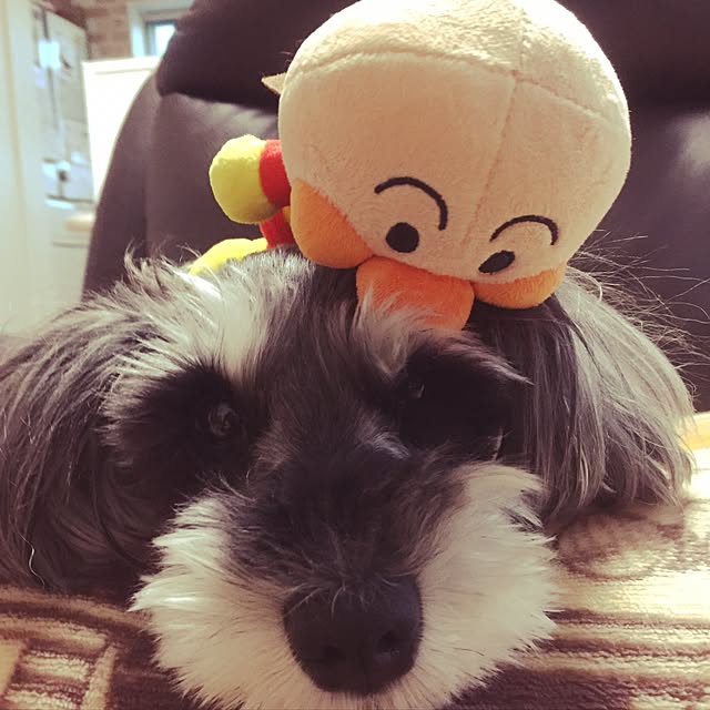 tamaeさんの実例写真