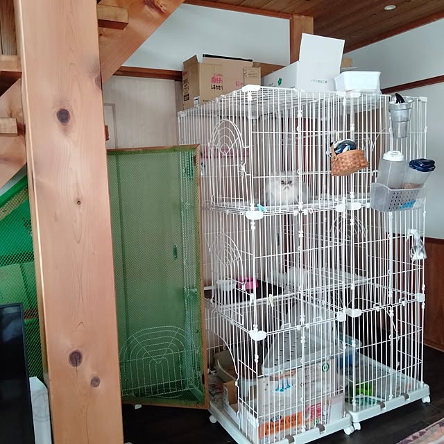 makaronさんの実例写真