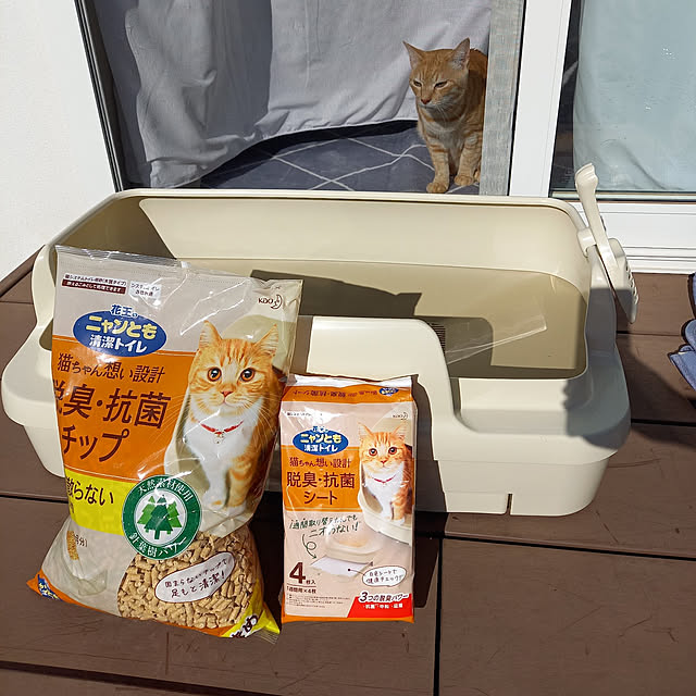 shiiiさんの実例写真