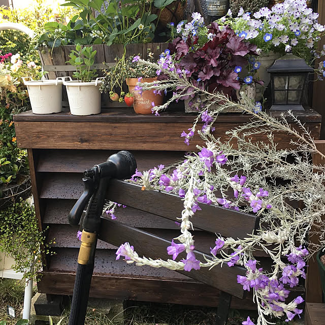 onokenkoさんの実例写真