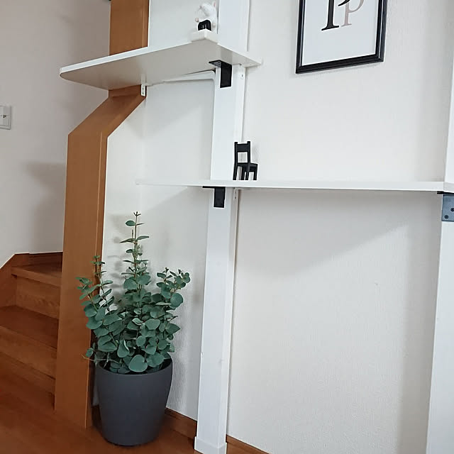maikyさんの実例写真