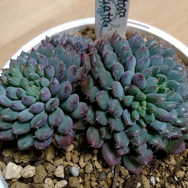 j.tさんの実例写真