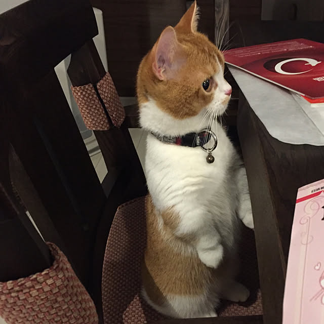 KotarouKunさんの実例写真