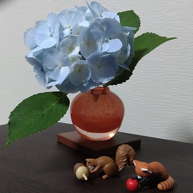 ieさんの実例写真
