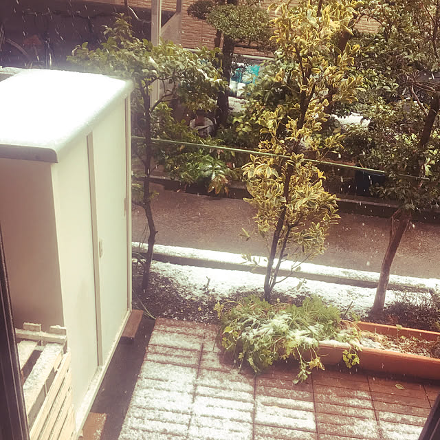 Tomoko.kさんの実例写真