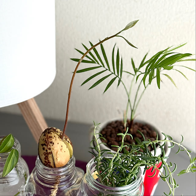 cat-number9さんの部屋