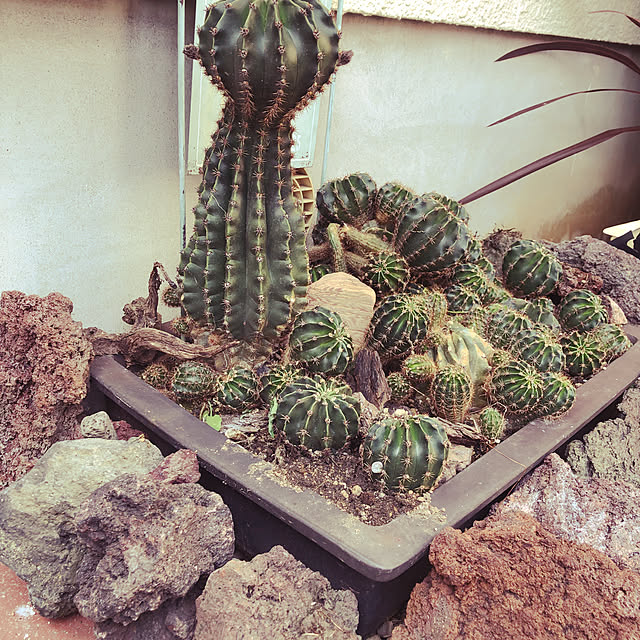 shs1019shsさんの実例写真