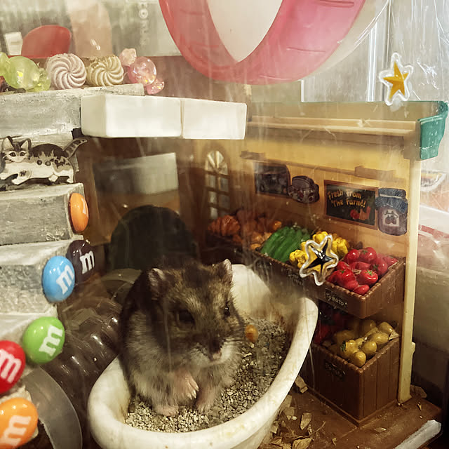 実例写真