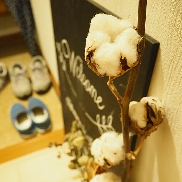 mocathyさんの実例写真