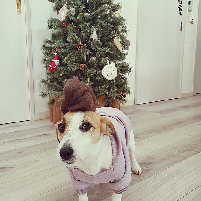 mio_ibu_1106さんの実例写真
