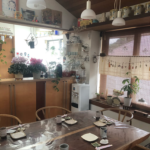 観葉植物/雑貨/アンティーク/北欧/多肉植物...などのインテリア実例 - 2020-02-25 22:45:42
