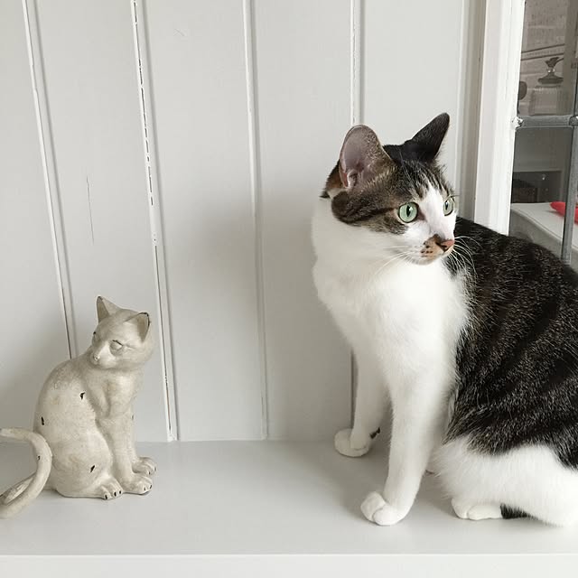 yuchiさんの実例写真