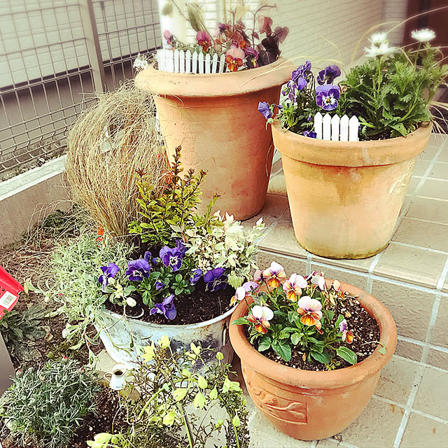 mamesanさんの実例写真