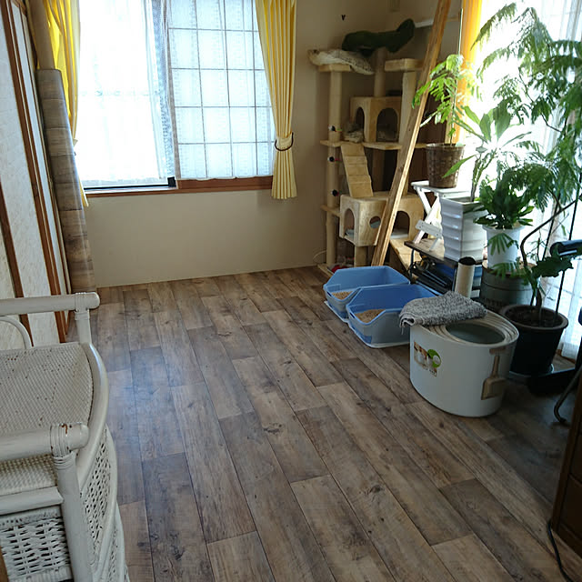 部屋全体/DIYのインテリア実例 - 2019-05-09 22:57:05