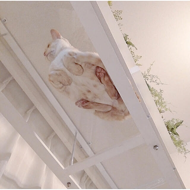 heart.emiemi57.whiteさんの実例写真