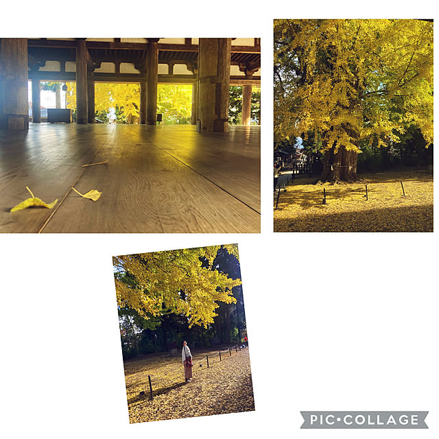 CoCo0617さんの部屋