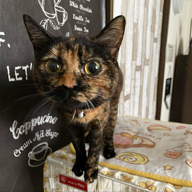 mさんの実例写真