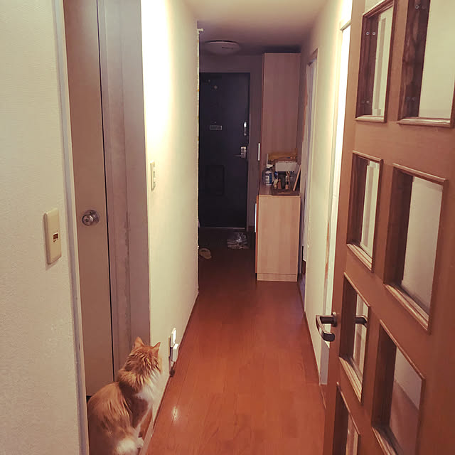 uchidaizuさんの実例写真