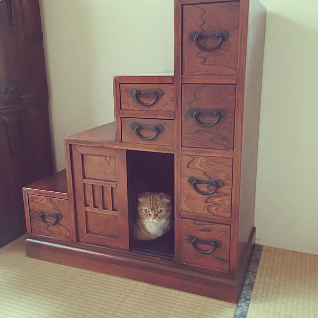 ねこのいる日常/部屋全体のインテリア実例 - 2019-11-30 00:05:42