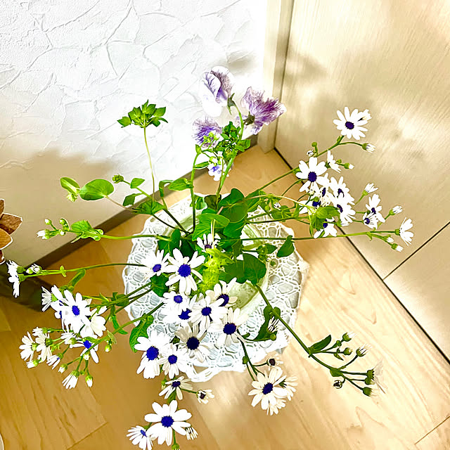 maminさんの部屋