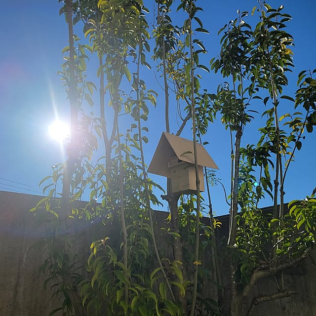 hossikouchouさんの部屋