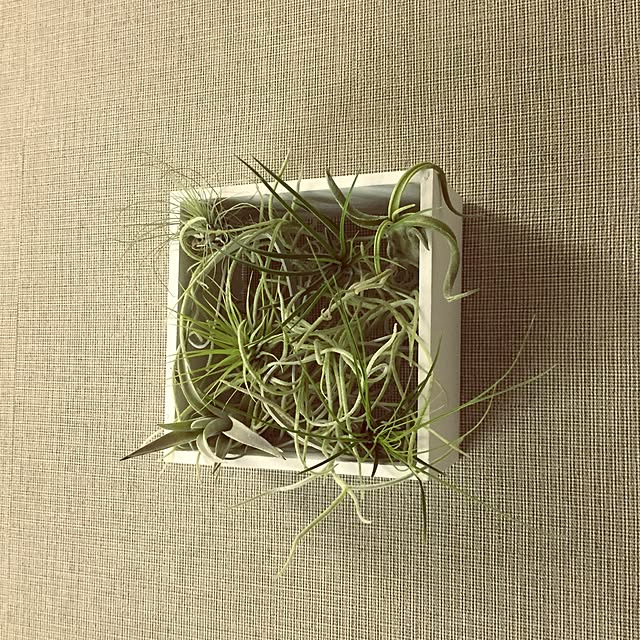 emさんの実例写真