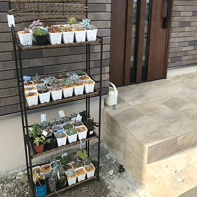 botanical884さんの実例写真