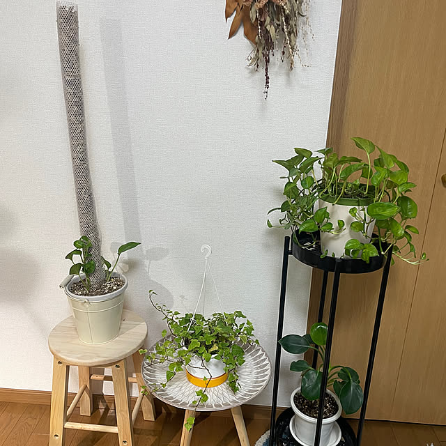 chi.pa.ruさんの部屋