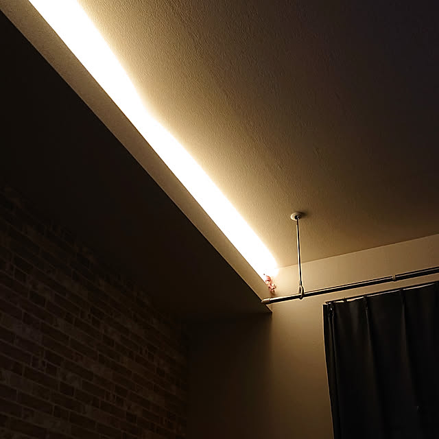 壁/天井のインテリア実例 - 2020-04-25 20:05:54