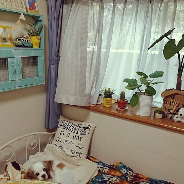 yukaさんの実例写真