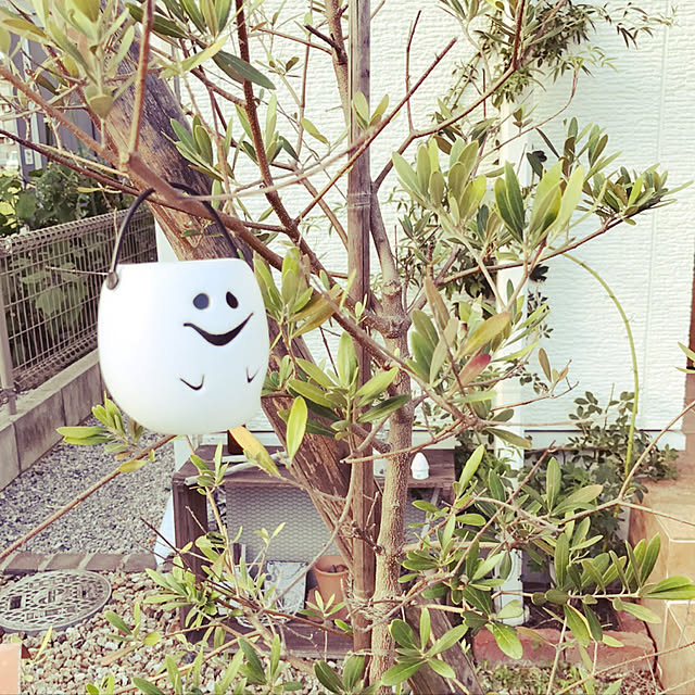 部屋全体/ハロウィンのインテリア実例 - 2017-09-08 15:01:05