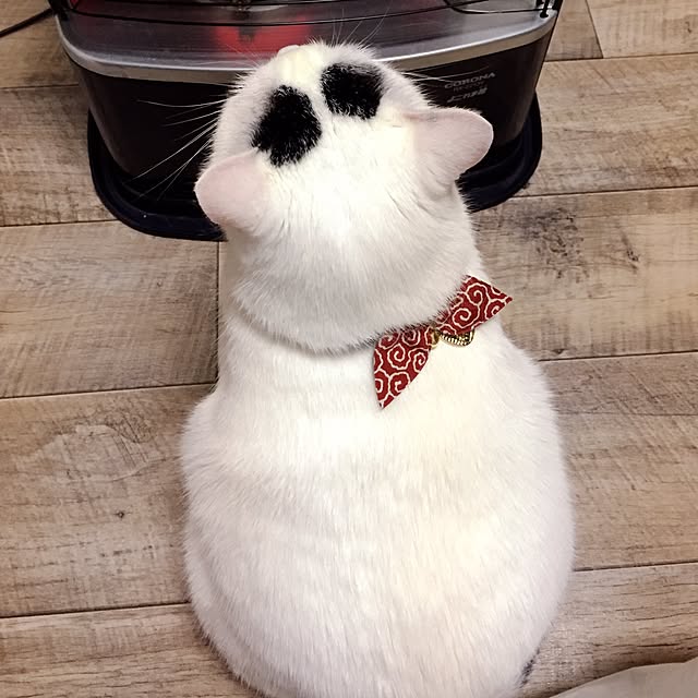 miさんの実例写真