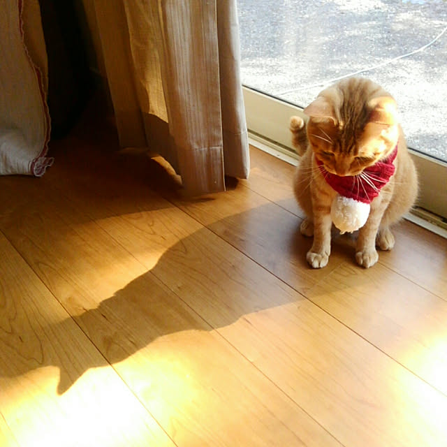 mayutan.さんの実例写真