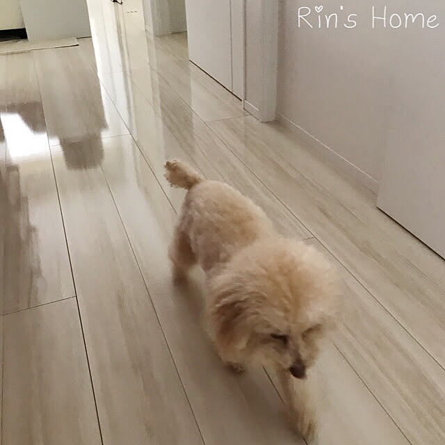 Rinさんの実例写真