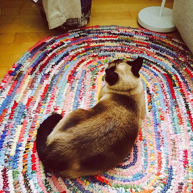 carocaroさんの実例写真
