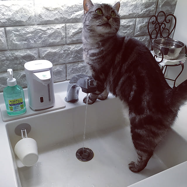 mikomaruさんの実例写真