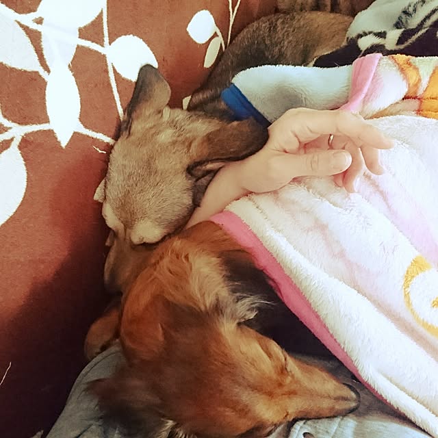 andさんの実例写真