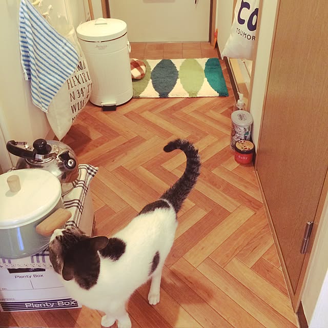 naachiさんの実例写真