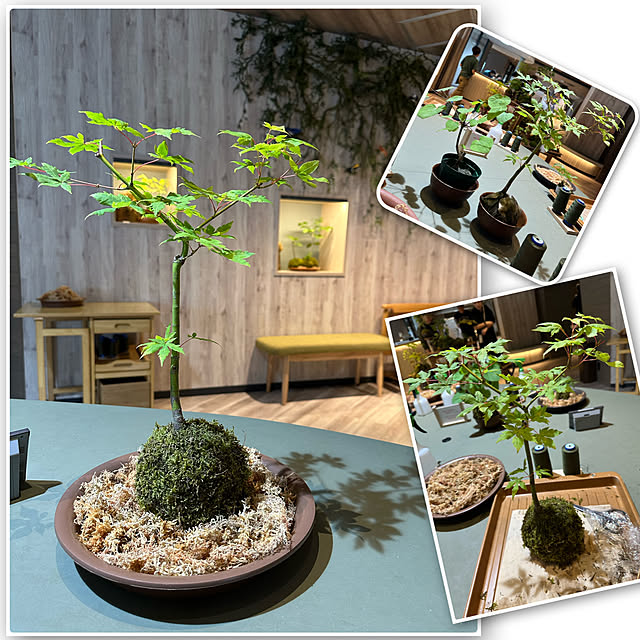 hanahana1444さんの部屋