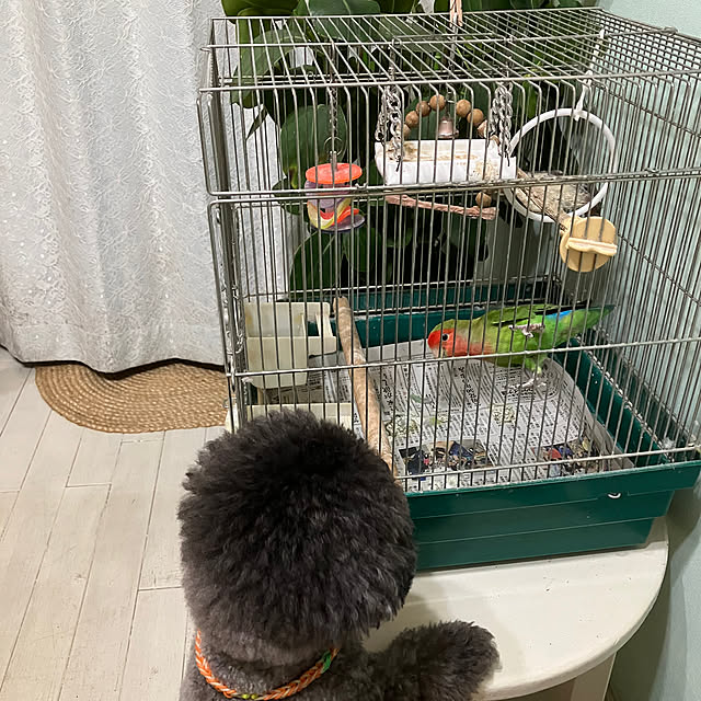 machakoさんの実例写真