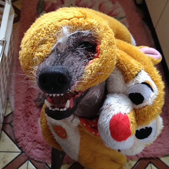 Emiさんの実例写真