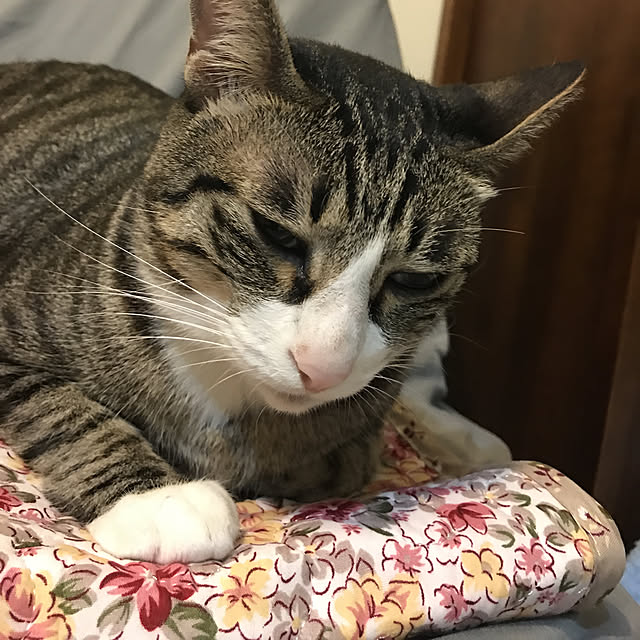 実例写真