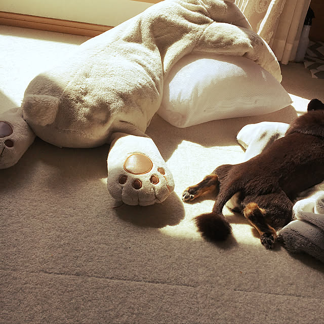 cocoさんの実例写真