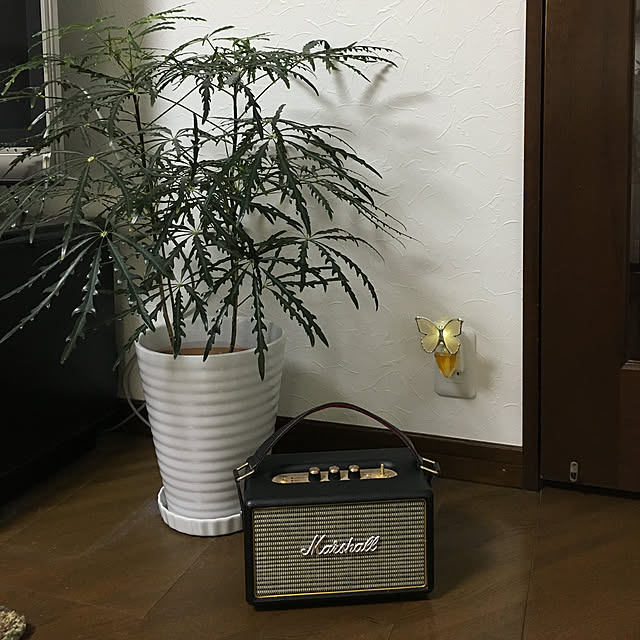 burgundy.roseさんの実例写真