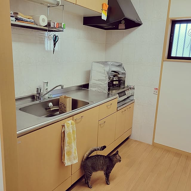 Mamichangeさんの実例写真