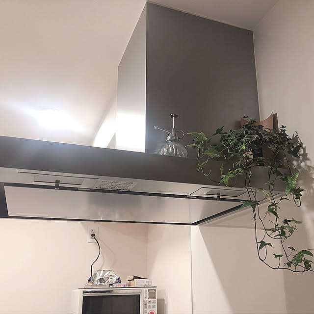 観葉植物/キッチンのインテリア実例 - 2019-04-16 00:29:06