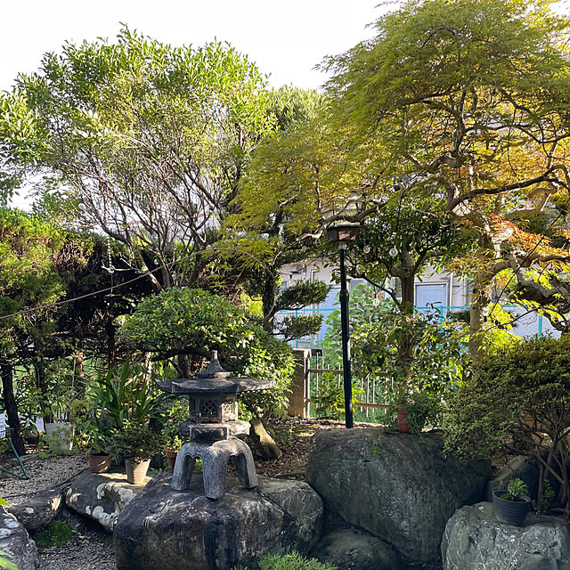 shin0719さんの部屋