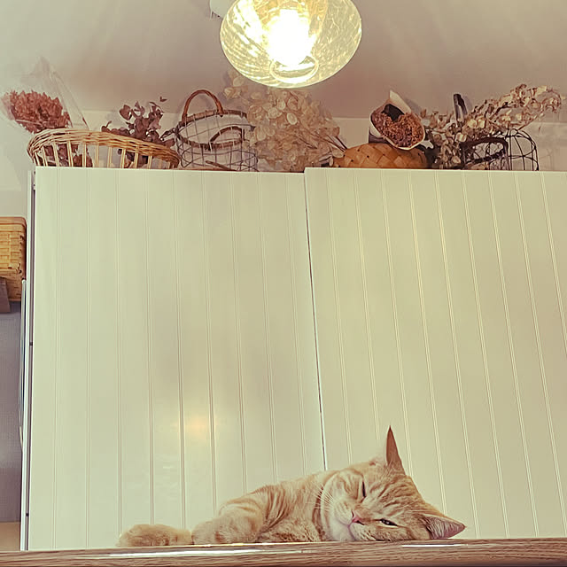tocotoco22さんの実例写真