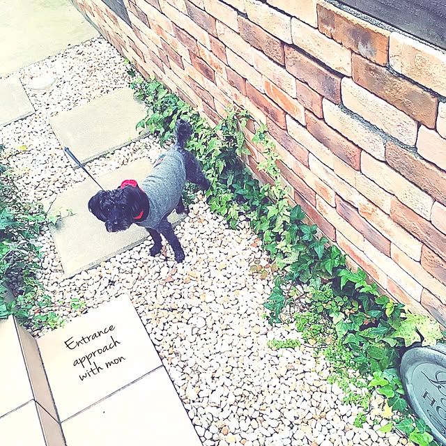 risaさんの実例写真